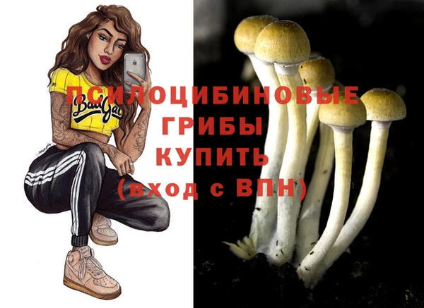 таблы Алексеевка