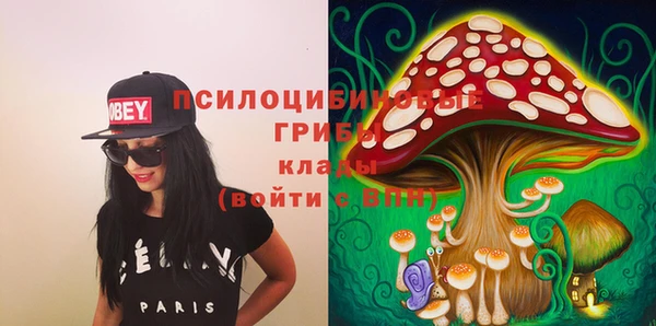 таблы Алексеевка