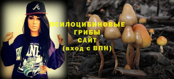мескалин Алексин