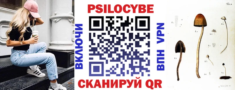 Псилоцибиновые грибы MAGIC MUSHROOMS  Купить закладки  Каменка 